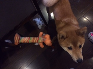 f:id:traffic_jam:20170628145431j:plain