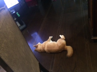 f:id:traffic_jam:20170628155131j:plain