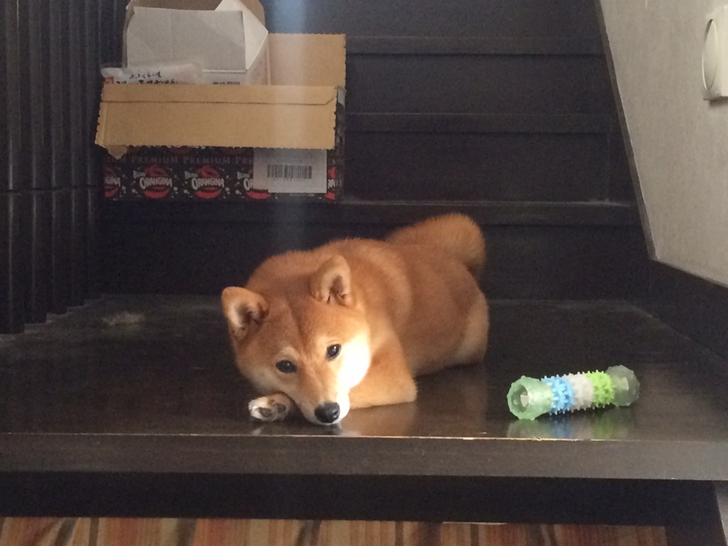 f:id:traffic_jam:20170628155245j:plain