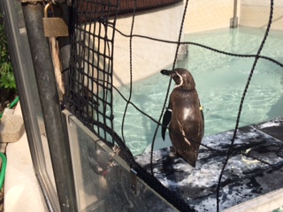 f:id:traffic_jam:20170717213423j:plain