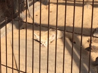 f:id:traffic_jam:20170717213540j:plain