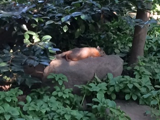 f:id:traffic_jam:20170717214004j:plain