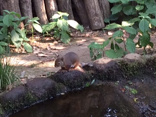 f:id:traffic_jam:20170717214016j:plain