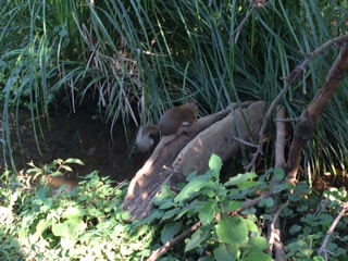 f:id:traffic_jam:20170717214033j:plain