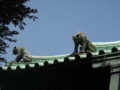 20100806122018