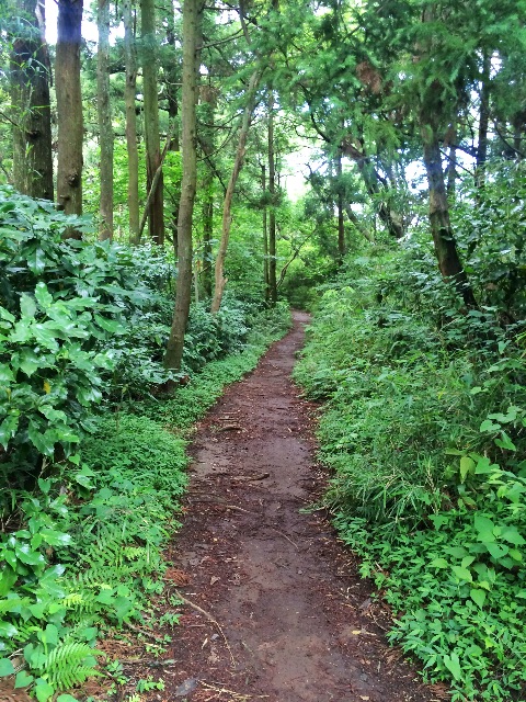 f:id:trail1048:20150607112714j:image f:id:trail1048:20150607112714j:image