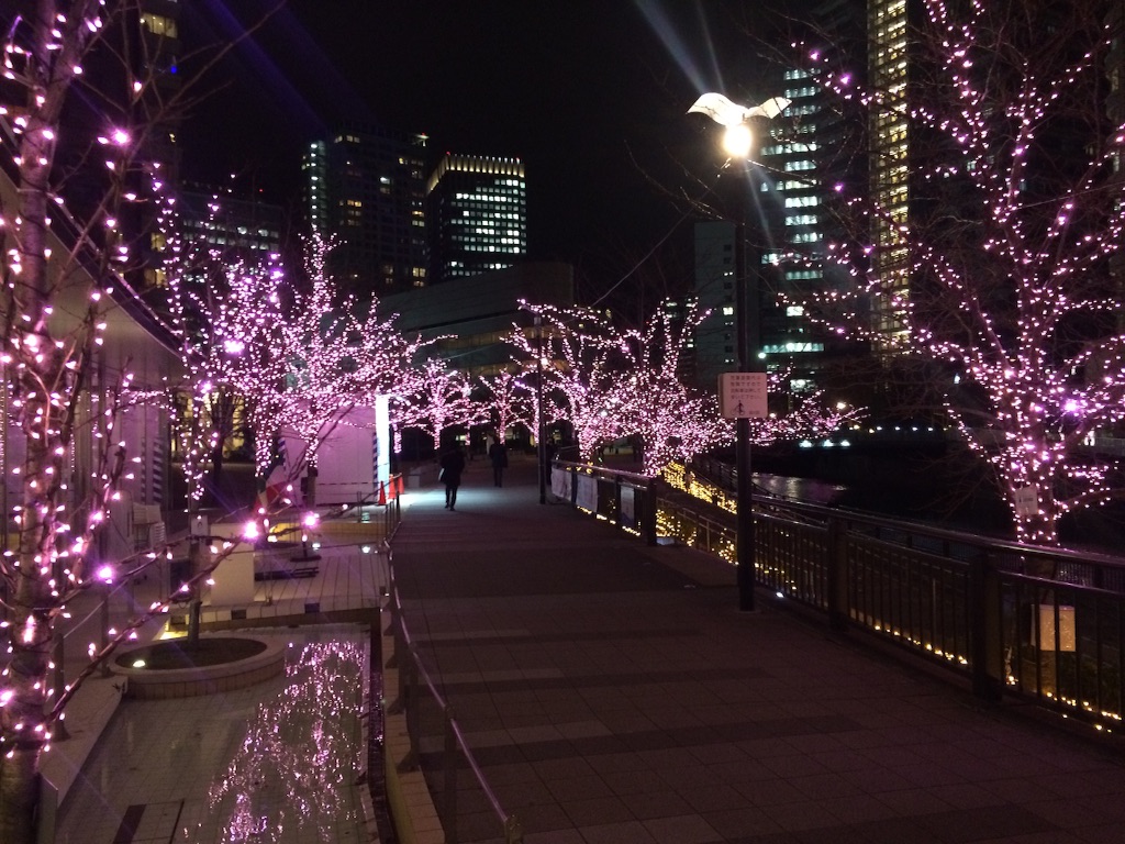 f:id:trail1048:20151218084603j:image