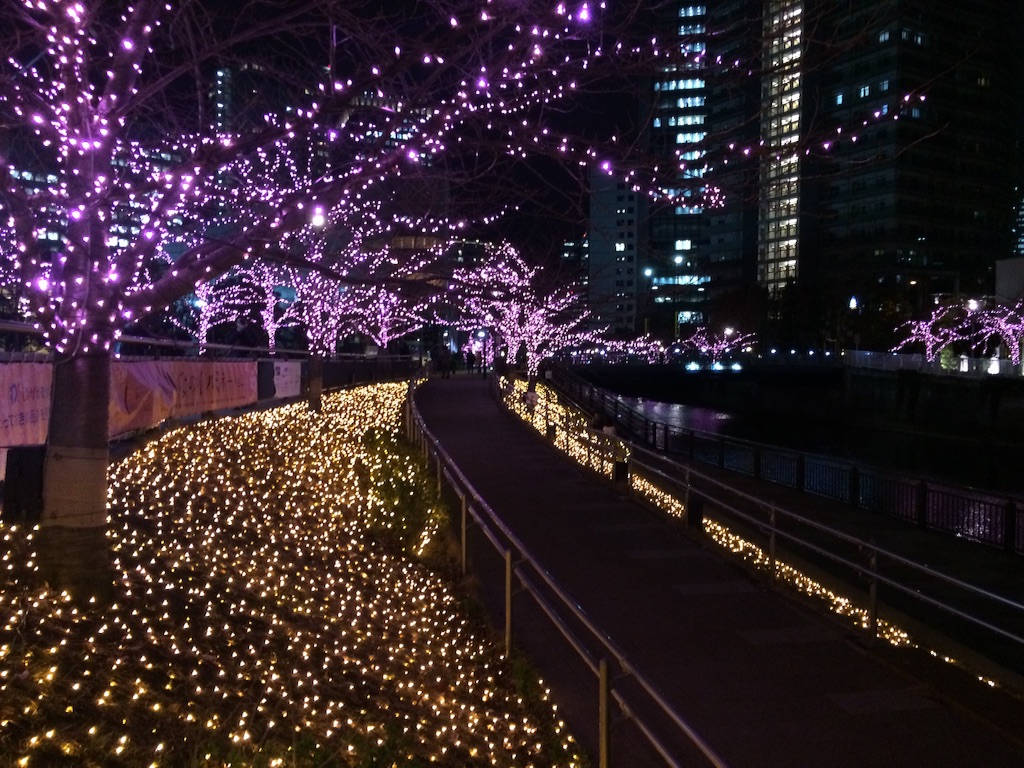 f:id:trail1048:20151218084611j:image