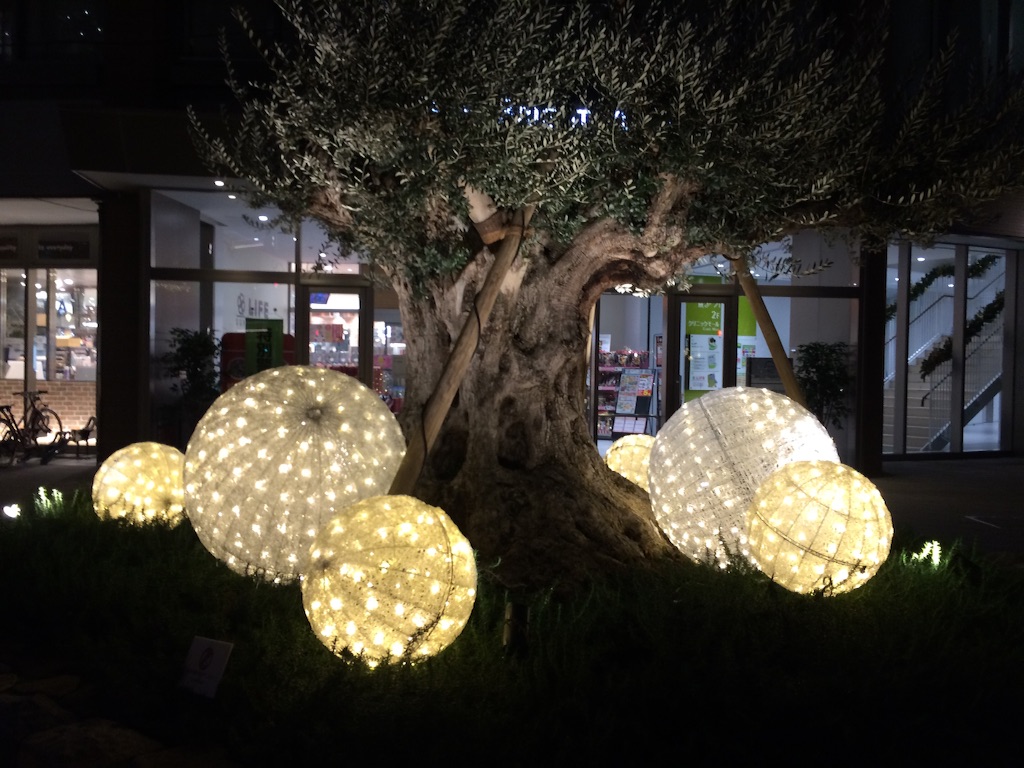 f:id:trail1048:20151218084714j:image