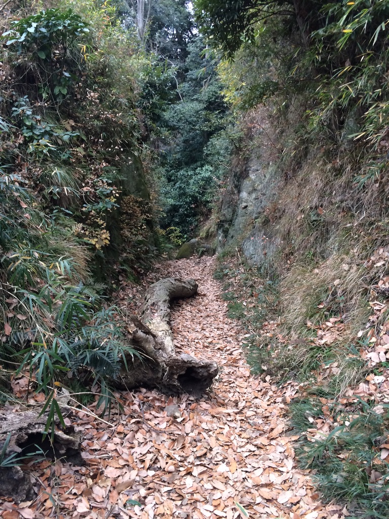 f:id:trail1048:20160119085018j:image f:id:trail1048:20160119085018j:image