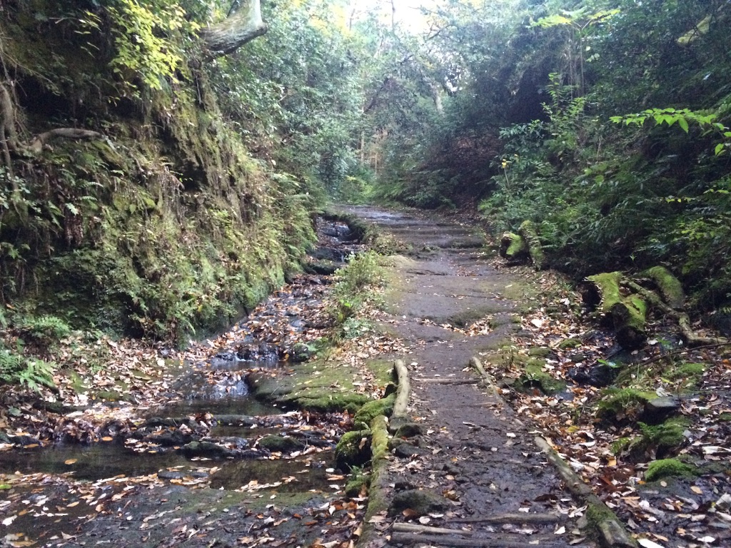 f:id:trail1048:20160301141109j:image f:id:trail1048:20160301141109j:image