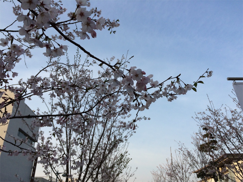 f:id:trail1048:20160331084003j:image f:id:trail1048:20160331084003j:image