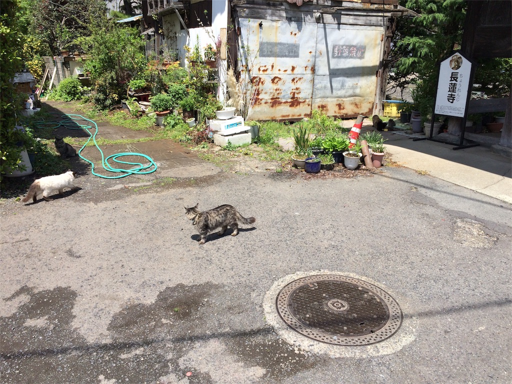 f:id:trail1048:20160511083936j:image