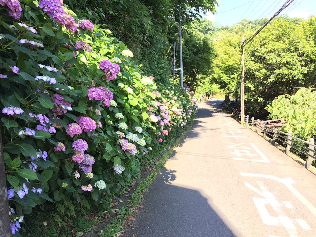 f:id:trail1048:20160606083407j:image f:id:trail1048:20160606083407j:image