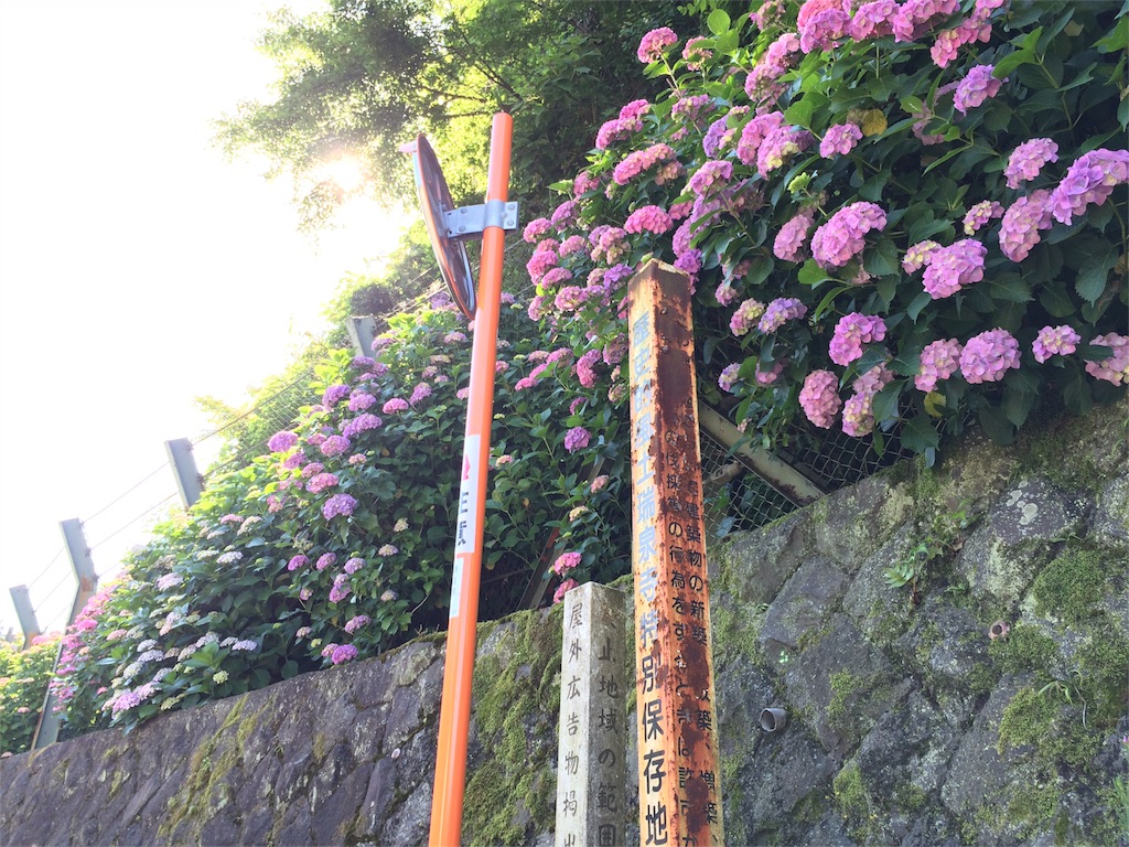 f:id:trail1048:20160606083435j:image f:id:trail1048:20160606083435j:image