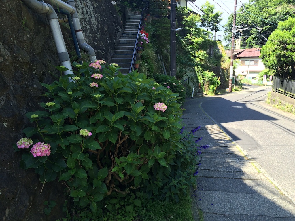 f:id:trail1048:20160606083507j:image f:id:trail1048:20160606083507j:image