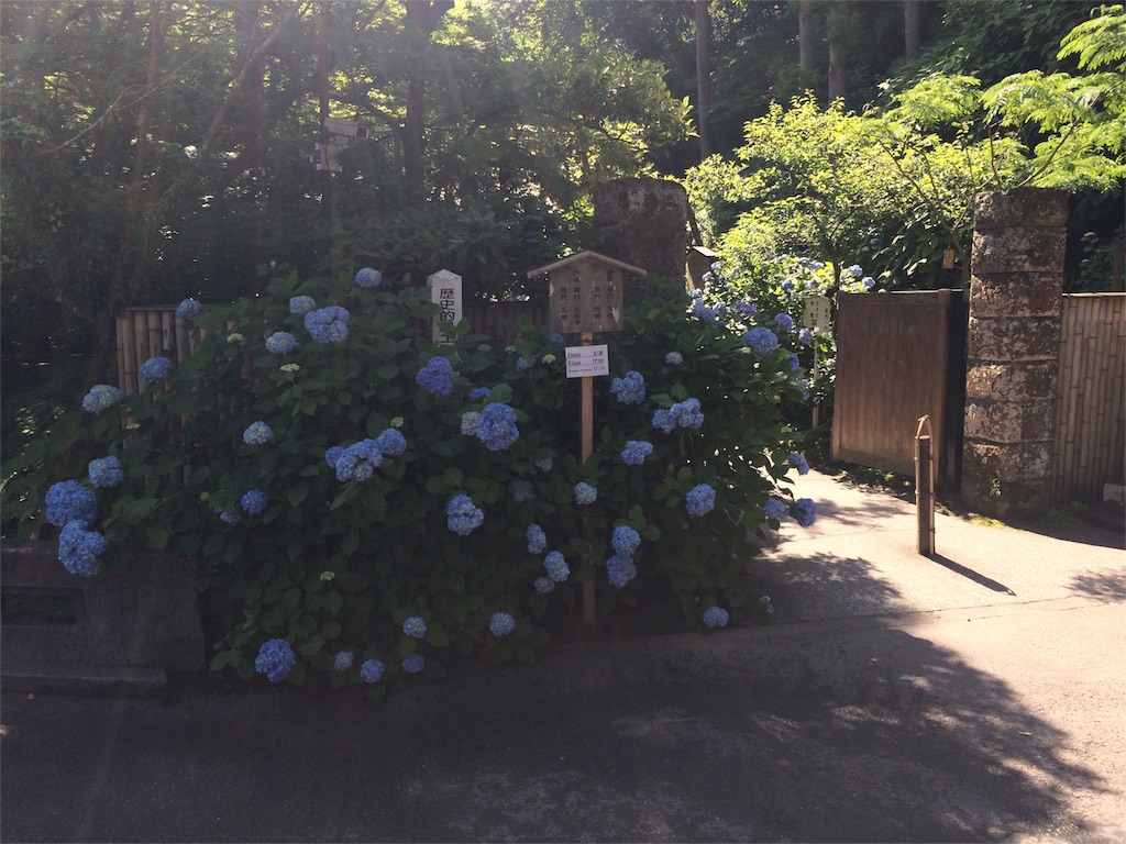 f:id:trail1048:20160606083517j:image f:id:trail1048:20160606083517j:image