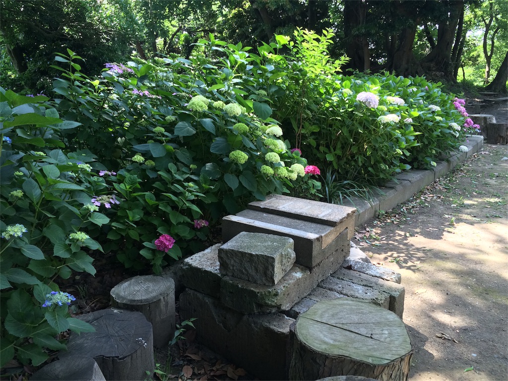f:id:trail1048:20160606083534j:image f:id:trail1048:20160606083534j:image