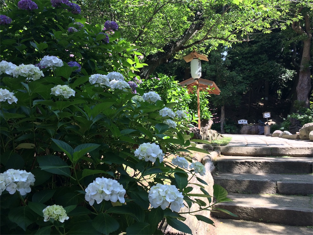 f:id:trail1048:20160606083540j:image f:id:trail1048:20160606083540j:image