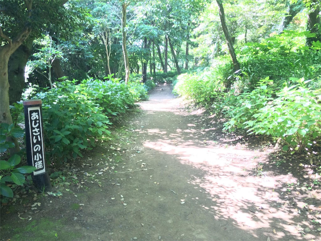 f:id:trail1048:20160606083548j:image f:id:trail1048:20160606083548j:image