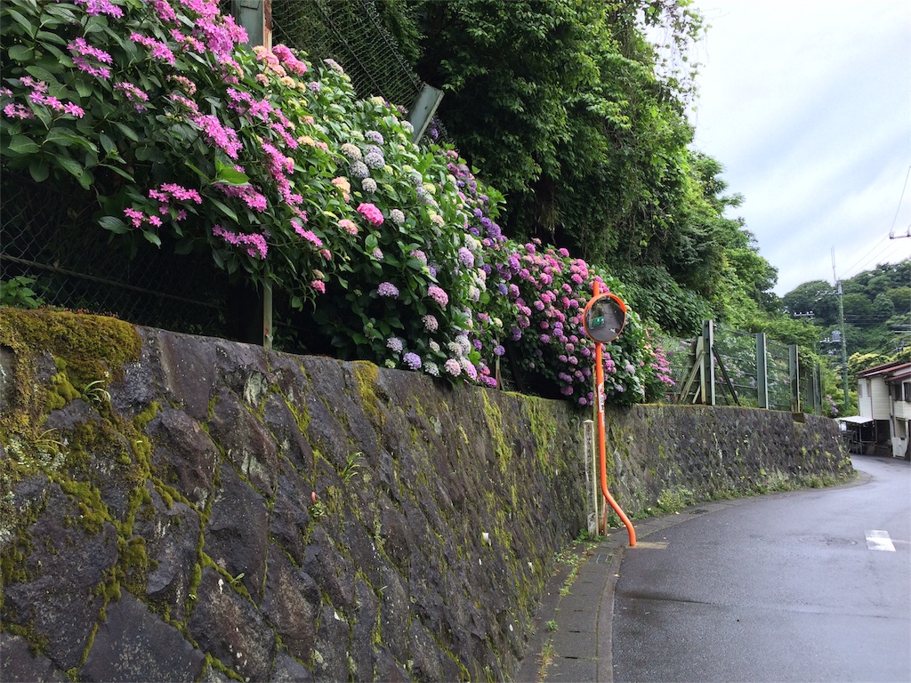 f:id:trail1048:20160606083616j:image f:id:trail1048:20160606083616j:image