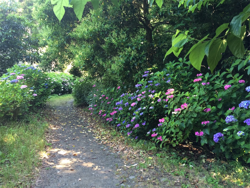 f:id:trail1048:20160617081658j:image f:id:trail1048:20160617081658j:image