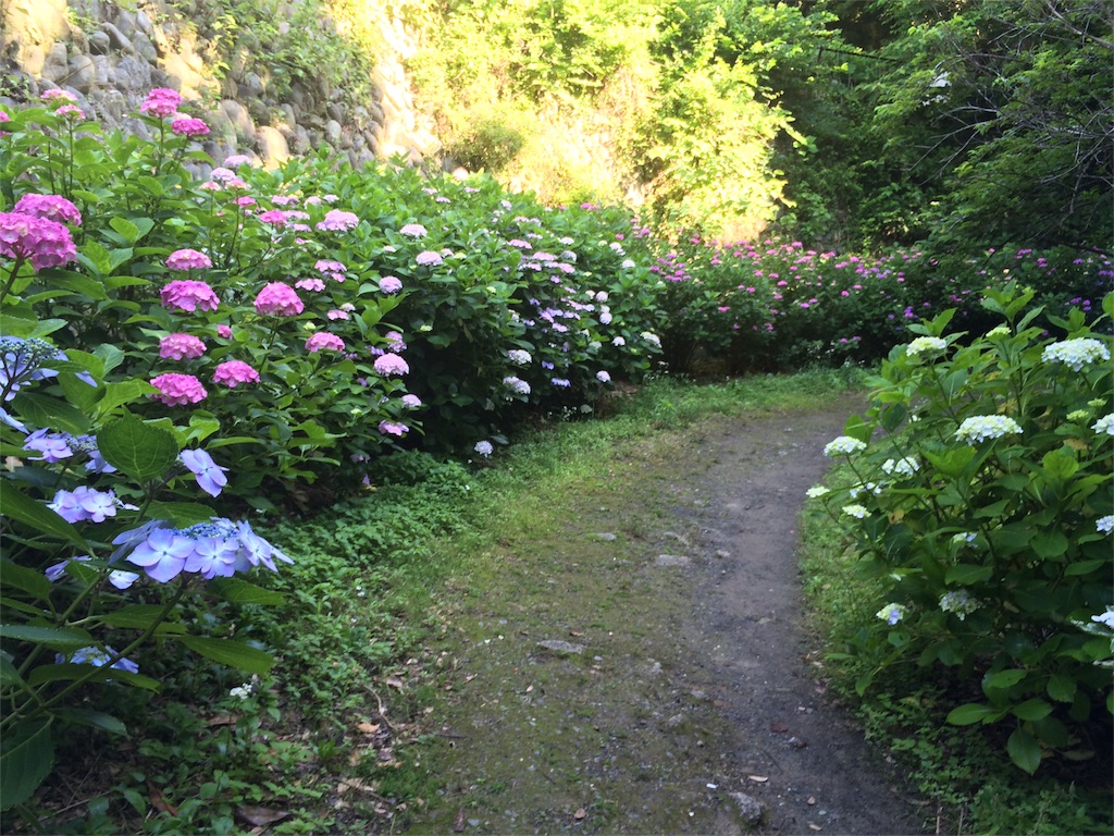 f:id:trail1048:20160617081727j:image f:id:trail1048:20160617081727j:image