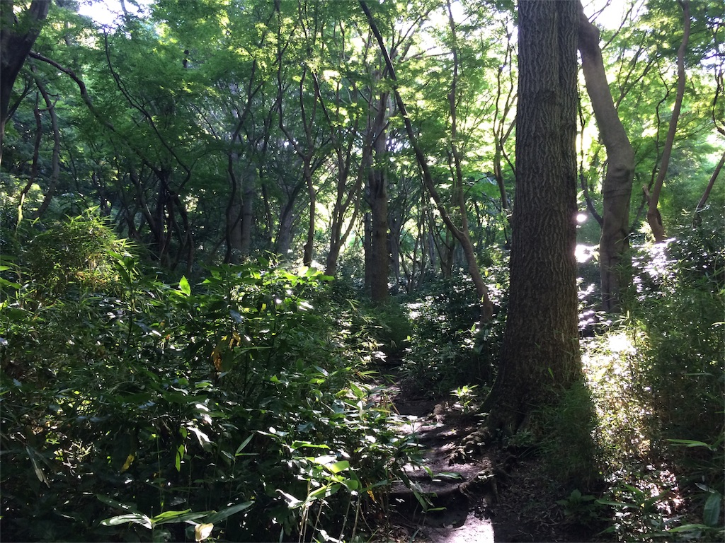 f:id:trail1048:20160617081911j:image f:id:trail1048:20160617081911j:image