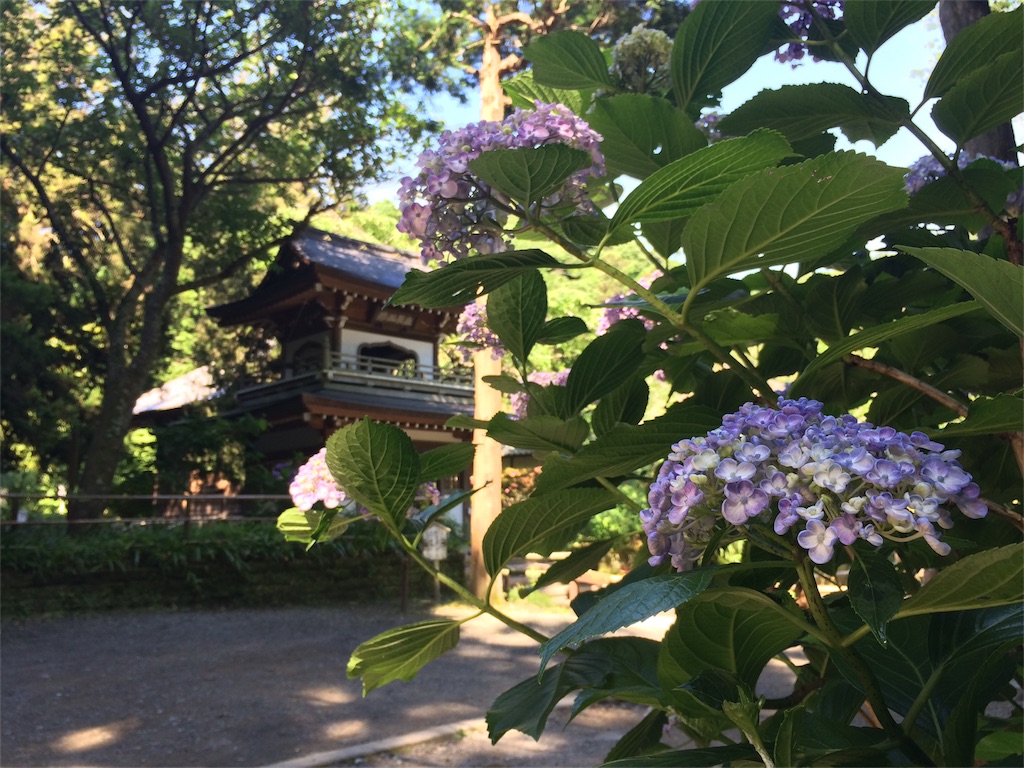 f:id:trail1048:20160617081930j:image f:id:trail1048:20160617081930j:image
