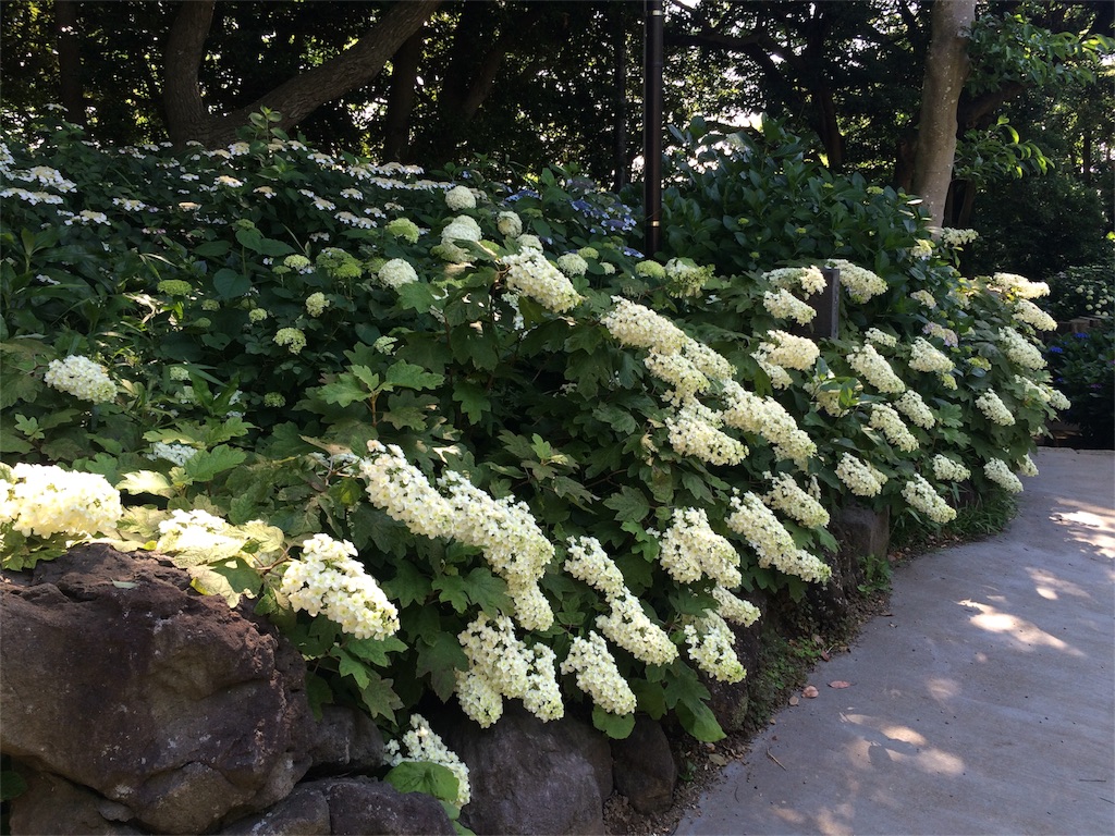 f:id:trail1048:20160617082025j:image f:id:trail1048:20160617082025j:image
