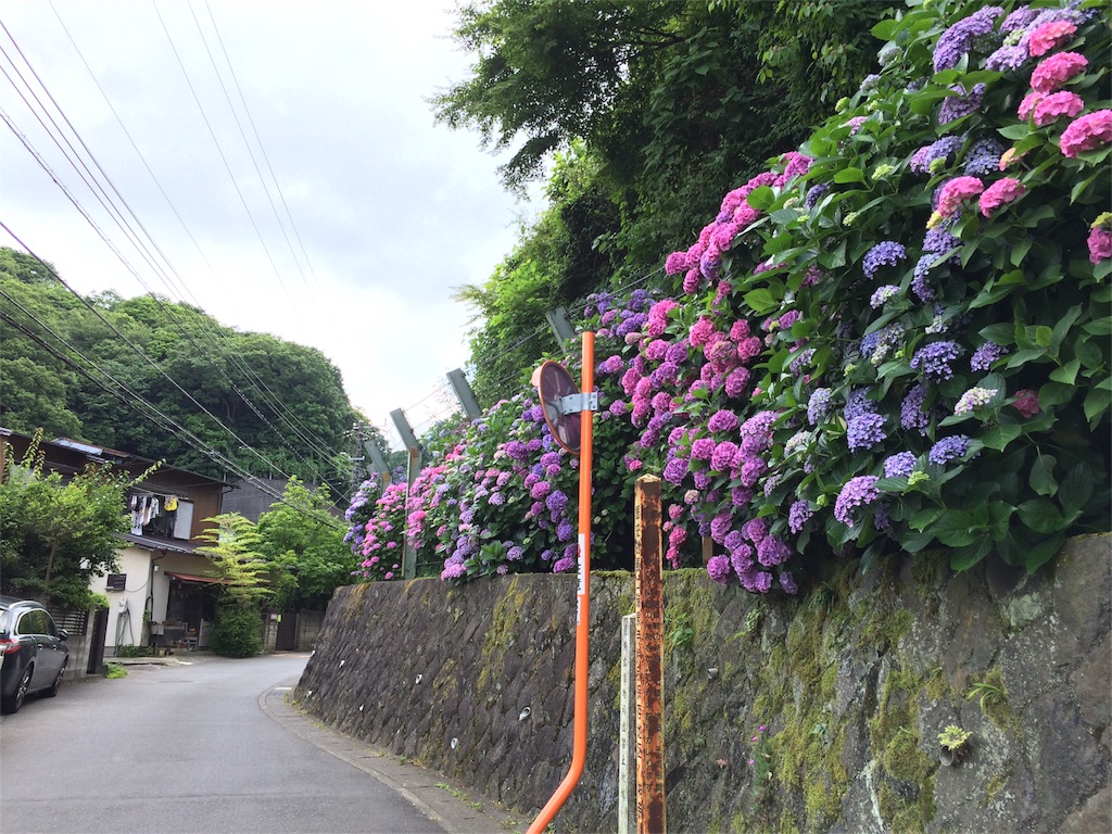 f:id:trail1048:20160617082425j:image f:id:trail1048:20160617082425j:image