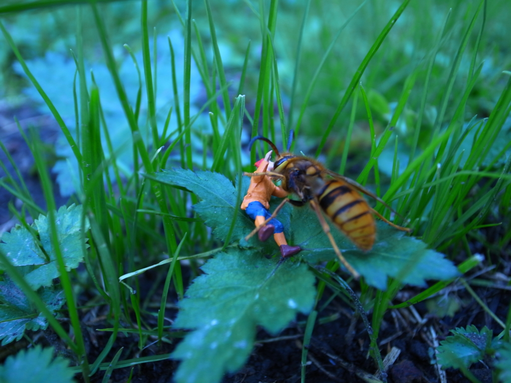 f:id:trail1048:20160625142843j:plain f:id:trail1048:20160625142843j:plain