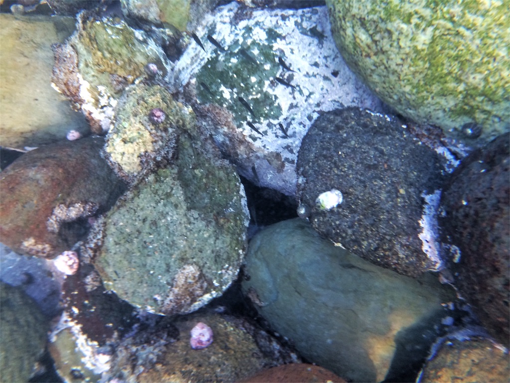 f:id:trail1048:20160719091309j:image f:id:trail1048:20160719091309j:image