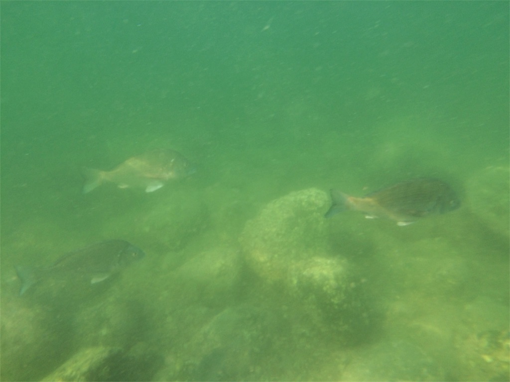 f:id:trail1048:20160719091324j:image f:id:trail1048:20160719091324j:image