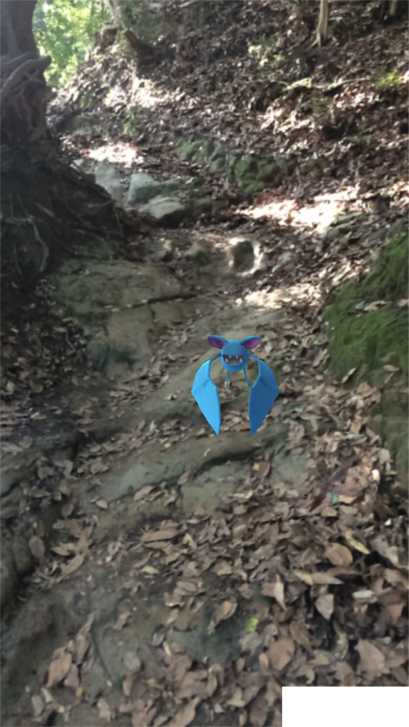 鎌倉トレラン ポケモンgoを鎌倉のハイキングコースでやってみた 天園 トレイルハシルアラウンド