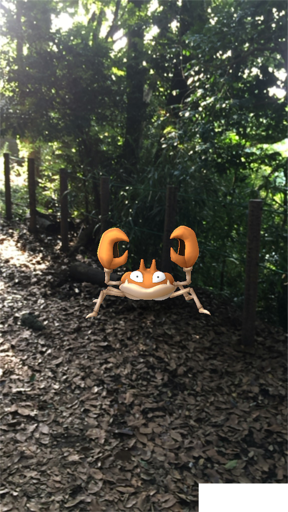 鎌倉トレラン ポケモンgoを鎌倉のハイキングコースでやってみた 天園 トレイルハシルアラウンド