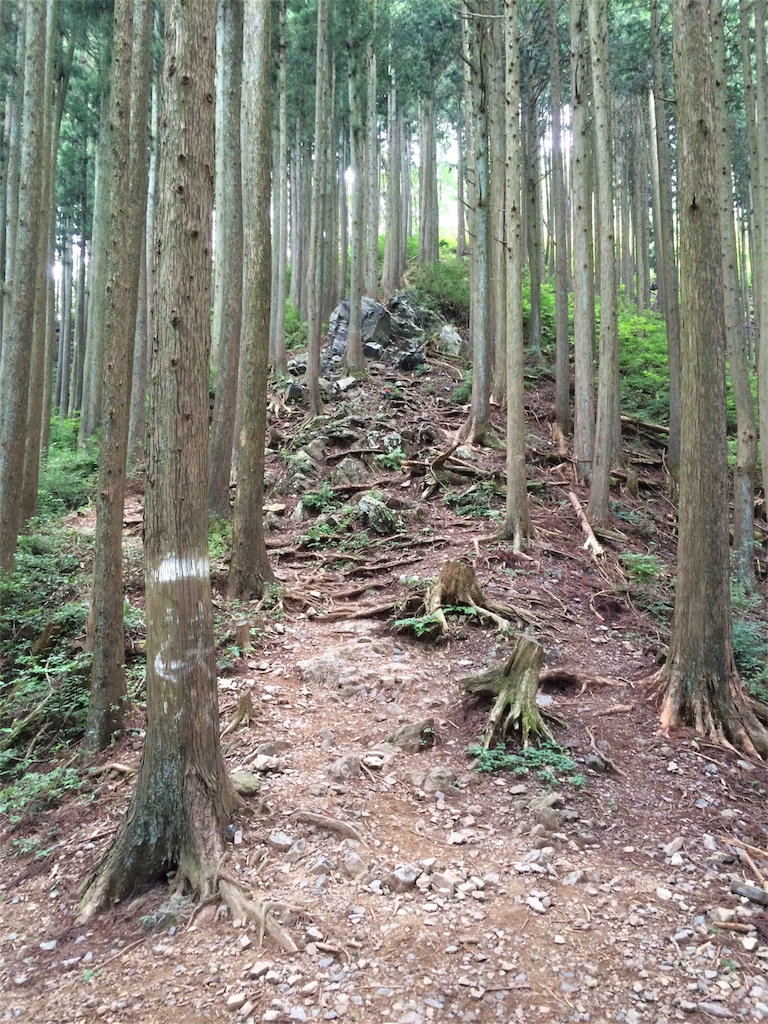 f:id:trail1048:20160831174343j:image f:id:trail1048:20160831174343j:image