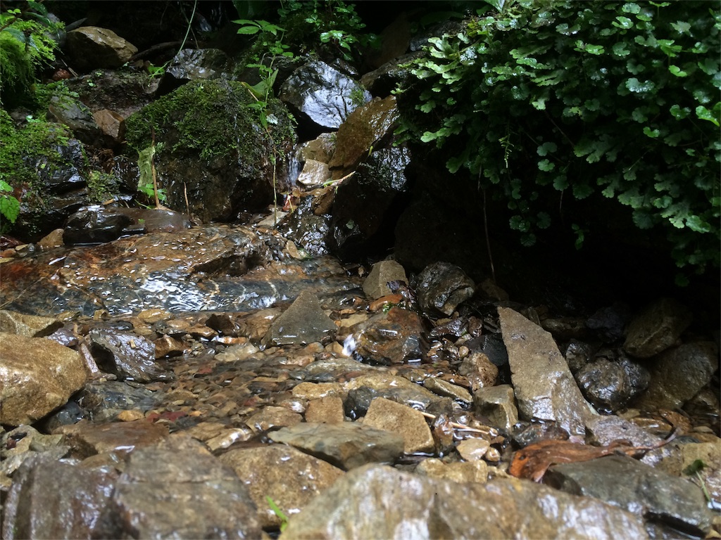 f:id:trail1048:20160831174752j:image f:id:trail1048:20160831174752j:image