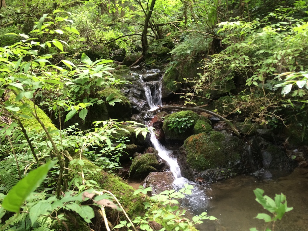 f:id:trail1048:20160831174908j:image f:id:trail1048:20160831174908j:image