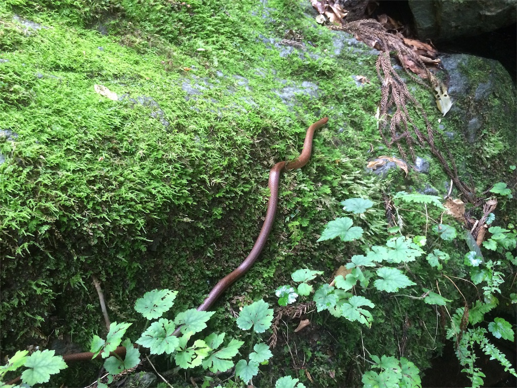f:id:trail1048:20160831175401j:image f:id:trail1048:20160831175401j:image