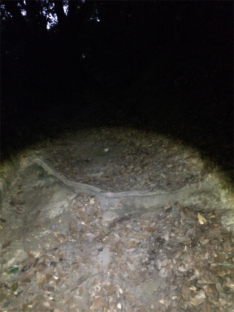 f:id:trail1048:20160902084311j:image