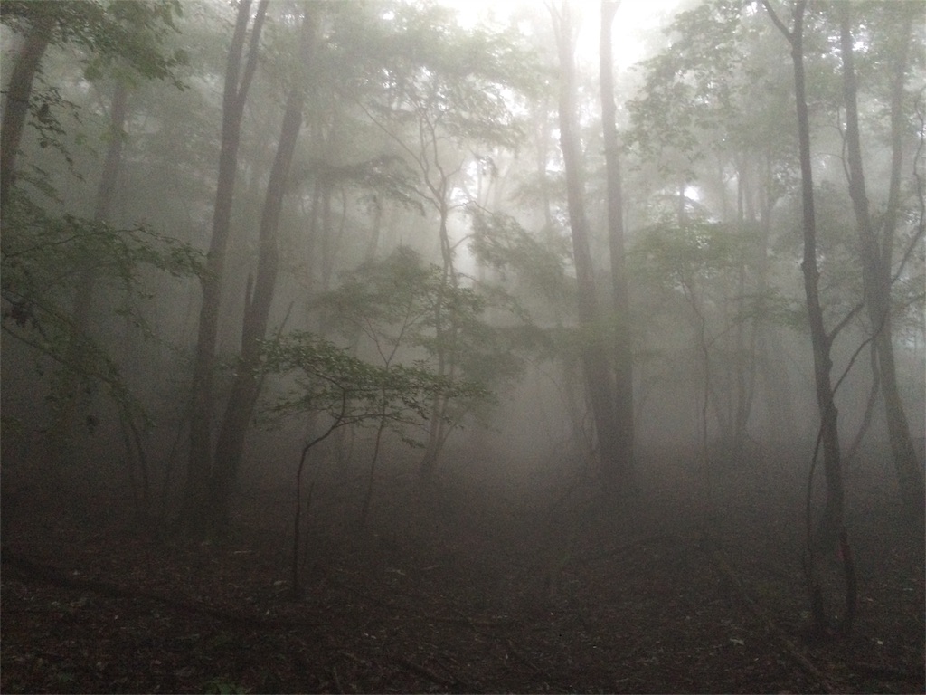 f:id:trail1048:20160919221542j:image f:id:trail1048:20160919221542j:image