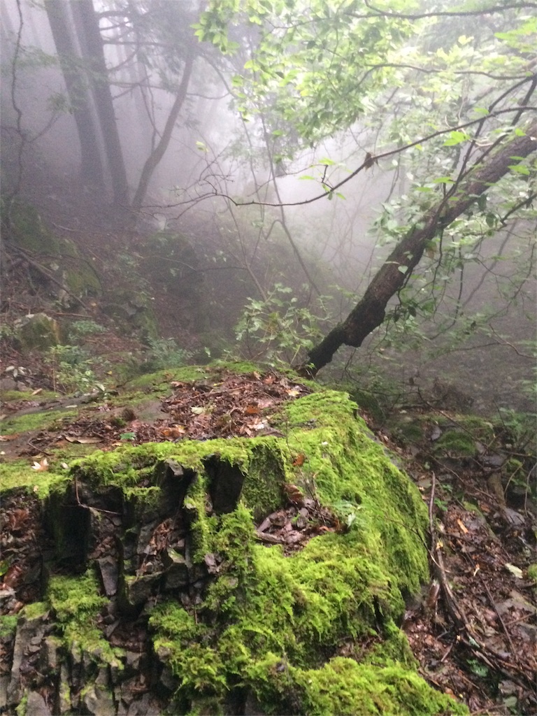 f:id:trail1048:20160919221636j:image f:id:trail1048:20160919221636j:image