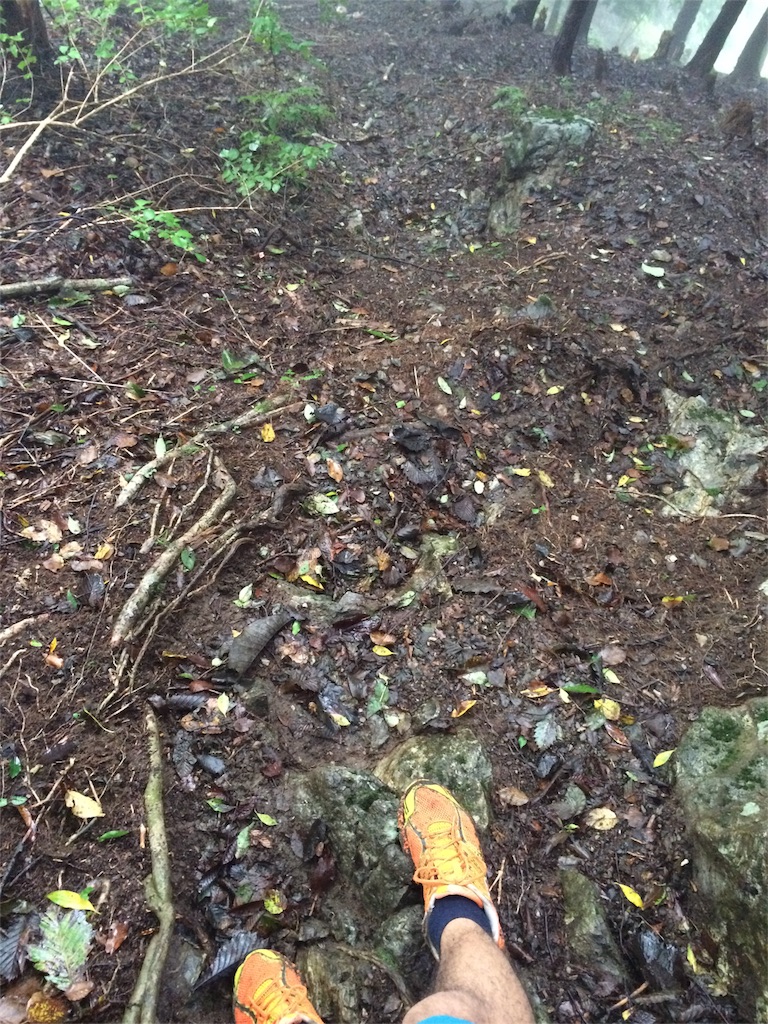 f:id:trail1048:20161003143517j:image f:id:trail1048:20161003143517j:image