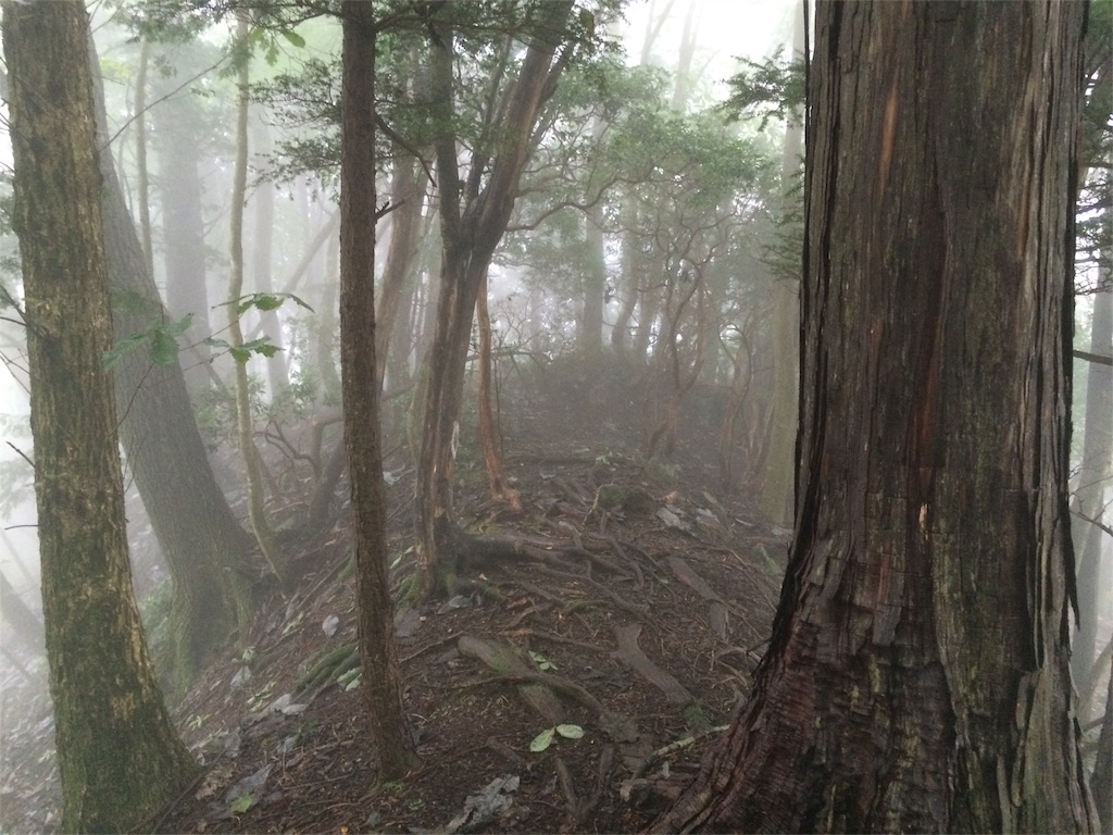 f:id:trail1048:20161003143824j:image f:id:trail1048:20161003143824j:image