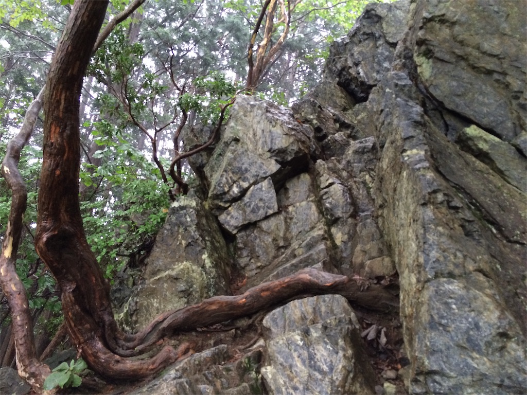 f:id:trail1048:20161003144207j:image f:id:trail1048:20161003144207j:image