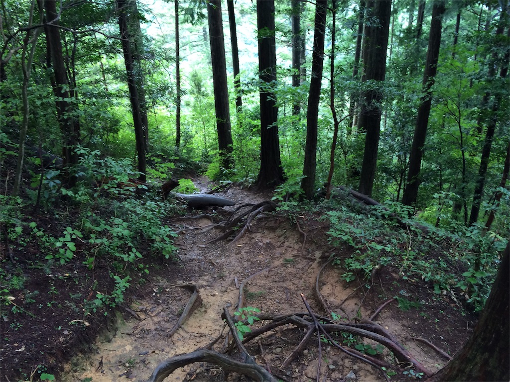 f:id:trail1048:20161003144358j:image f:id:trail1048:20161003144358j:image