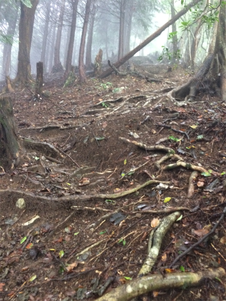 f:id:trail1048:20161003150101j:image f:id:trail1048:20161003150101j:image