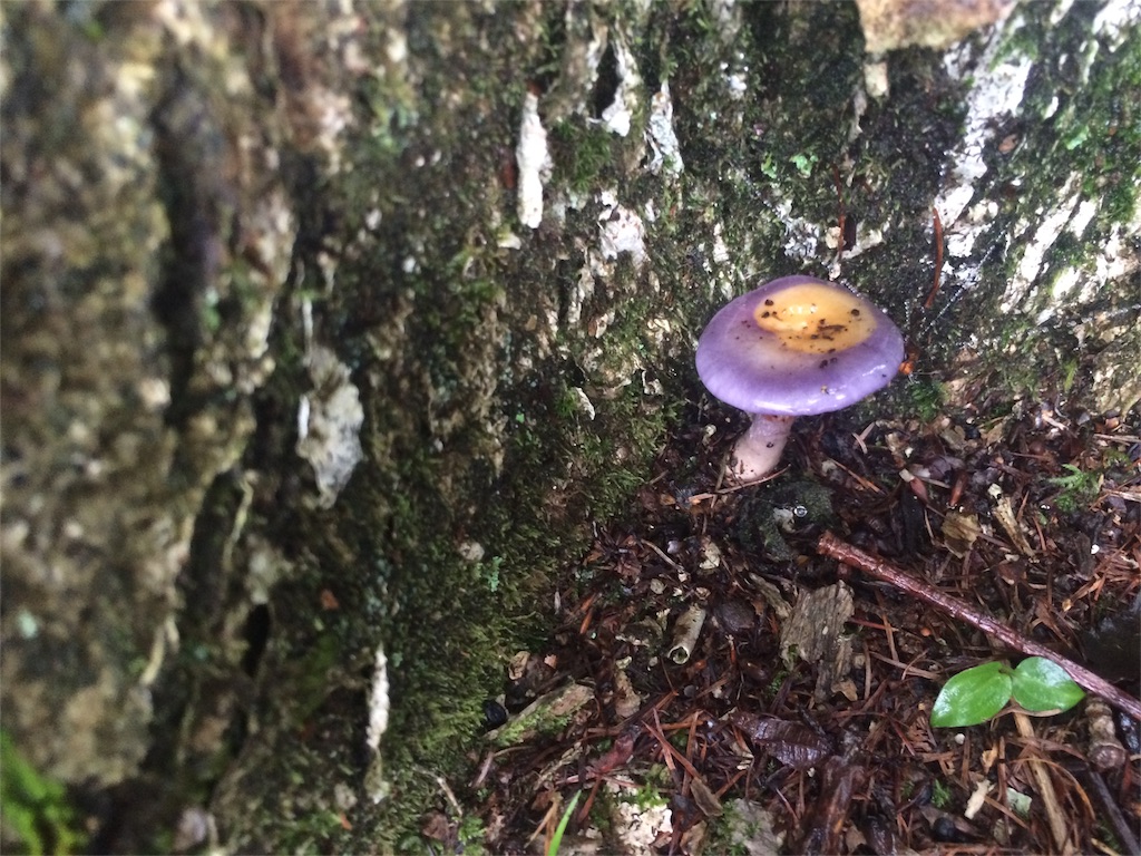 f:id:trail1048:20161003150151j:image f:id:trail1048:20161003150151j:image