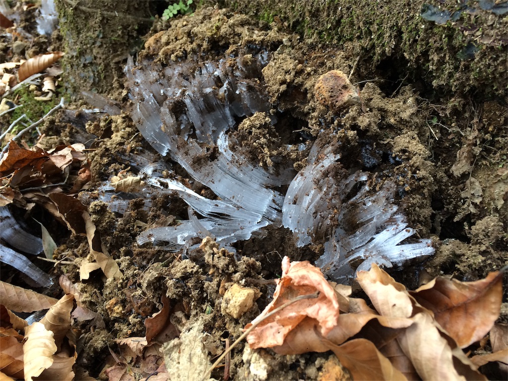 f:id:trail1048:20161216082555j:image